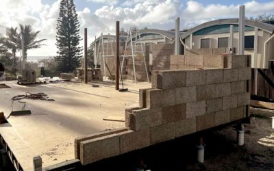 Dutch Intern Shares On-Site Experience